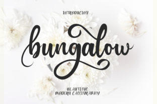 Bungalow: A Script Font for Campaign Creativity