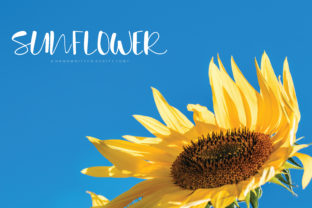 Font That Feels Like a Handwritten Note: Sunflower for Branding