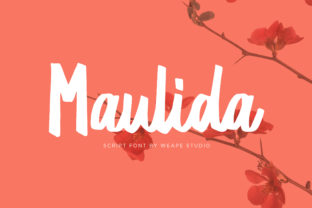 How Maulida Elevates Your Brand’s Typography