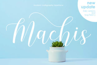 Machis: A Modern Script Font for Digital Branding