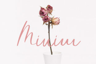 Minim: A Script Font That Elevates Your Campaigns