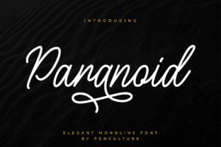 Paranoid: A Font That Adds Elegance to Digital Design