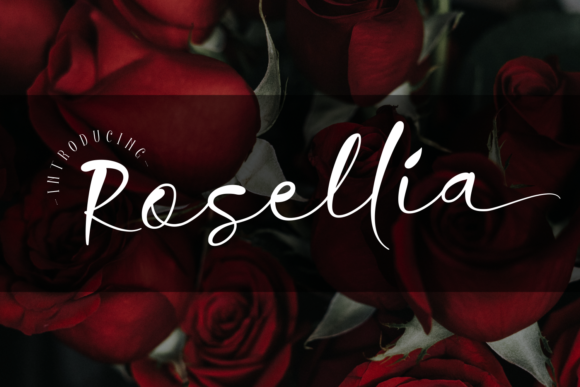 Rosellia: A Font That Elevates Your Brand
